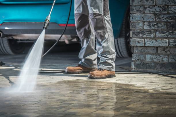 Best Roof Washing  in Carnesville, GA